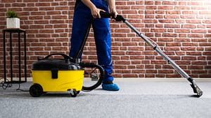 Carpet Cleaning Services Chicago