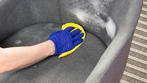 Professional Upholstery Cleaning Chicago